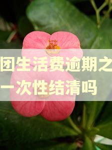 美团生活费逾期之后会一次性结清吗 美团生活费逾期之后会一次性结清吗