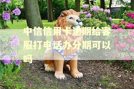 中信信用卡逾期给客服打电话办分期可以吗