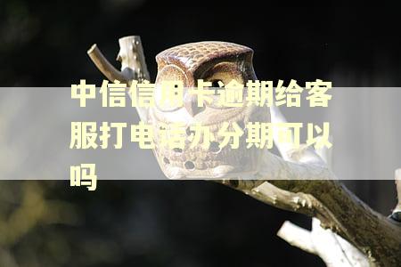 中信信用卡逾期给客服打电话办分期可以吗