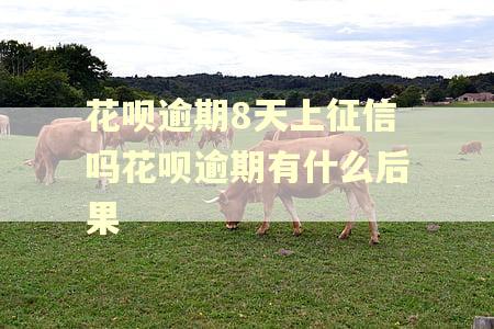 花呗逾期8天上征信吗花呗逾期有什么后果