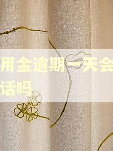 备用金逾期一天会打电话吗