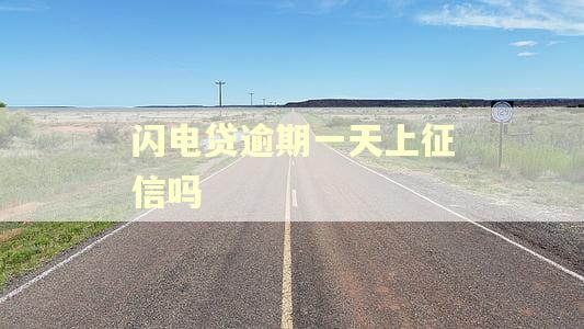 闪电贷逾期一天上征信吗