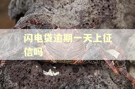 闪电贷逾期一天上征信吗