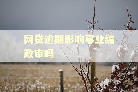 网贷逾期影响事业编政审吗