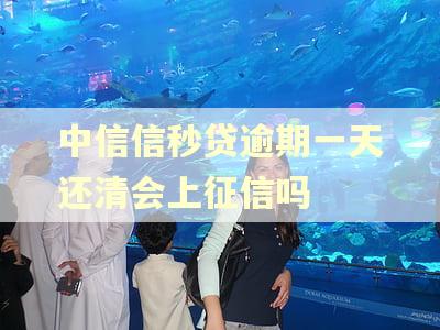 中信信秒贷逾期一天还清会上征信吗