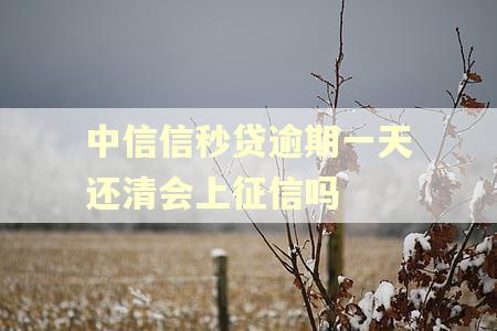 中信信秒贷逾期一天还清会上征信吗