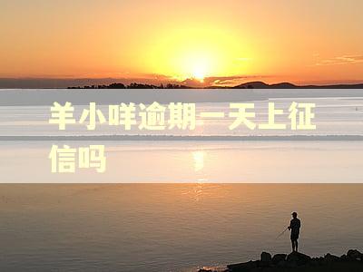羊小咩逾期一天上征信吗