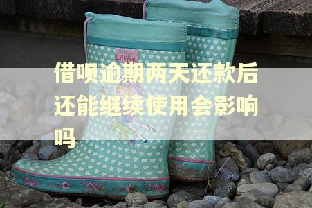 借呗逾期两天还款后还能继续使用会影响吗