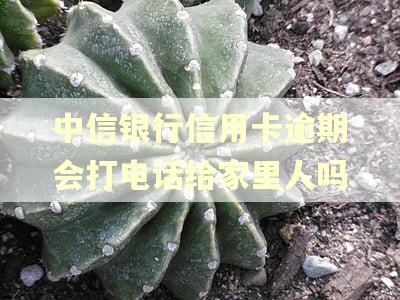 中信银行信用卡逾期会打电话给家里人吗 中信银行信用卡逾期会打电话给家里人吗