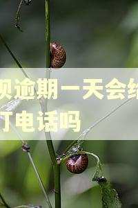 省呗逾期一天会给家人打电话吗
