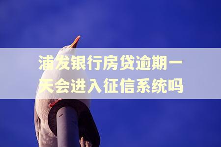 浦发银行房贷逾期一天会进入征信系统吗