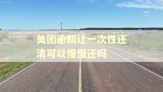 美团逾期让一次性还清可以慢慢还吗