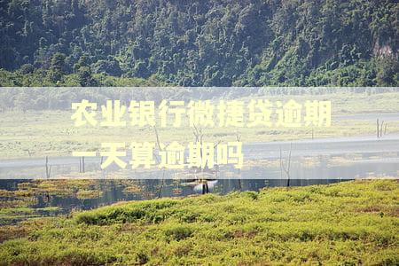 农业银行微捷贷逾期一天算逾期吗