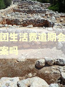 美团生活费逾期会被备案吗