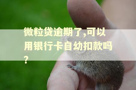 微粒贷逾期了,可以用银行卡自幼扣款吗?