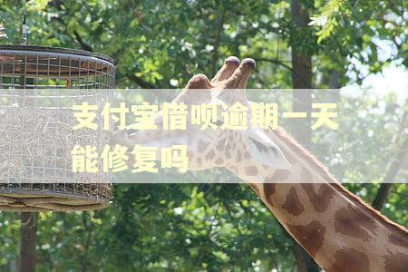 支付宝借呗逾期一天能修复吗