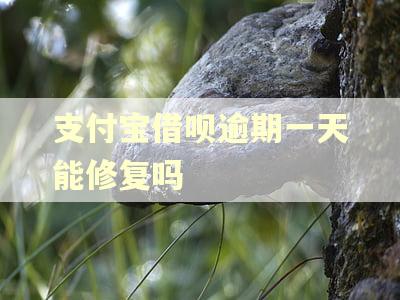 支付宝借呗逾期一天能修复吗