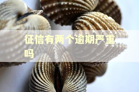 征信有两个逾期严重吗