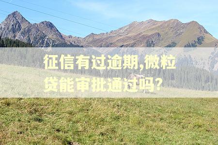 征信有过逾期,微粒贷能审批通过吗?
