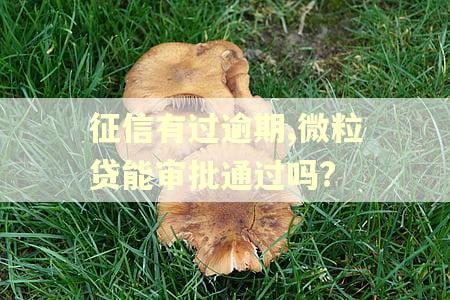 征信有过逾期,微粒贷能审批通过吗? 征信有过逾期,微粒贷能审批通过吗?