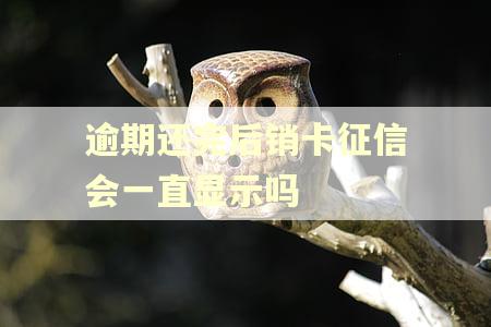 逾期还完后销卡征信会一直显示吗
