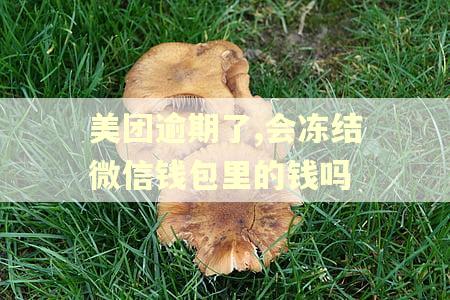 美团逾期了,会冻结微信钱包里的钱吗