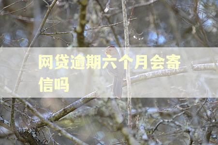 网贷逾期六个月会寄信吗