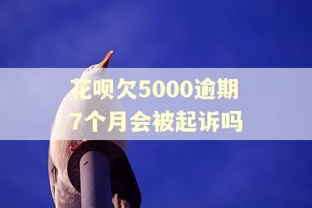花呗欠5000逾期7个月会被起诉吗