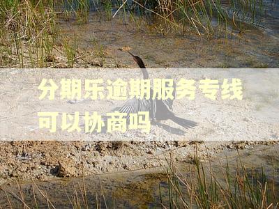分期乐逾期服务专线可以协商吗