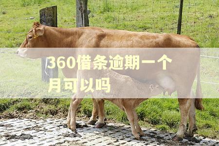 360借条逾期一个月可以吗 360借条逾期一个月可以吗