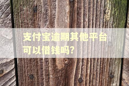 支付宝逾期其他平台可以借钱吗?