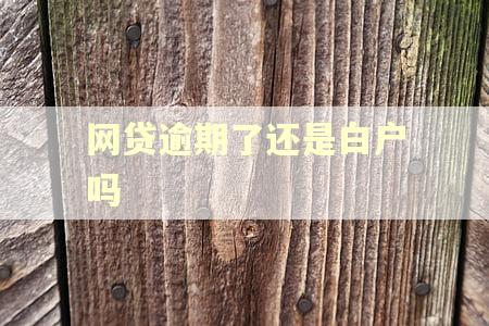 网贷逾期了还是白户吗