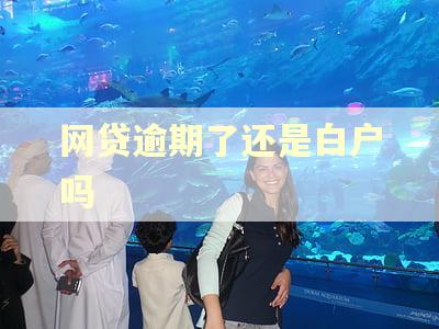 网贷逾期了还是白户吗