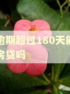 逾期超过180天能房贷吗