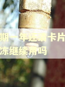 逾期一年还清卡片能解冻继续用吗