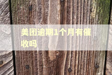 美团逾期1个月有催收吗