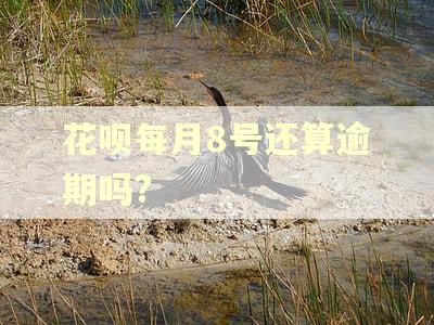 花呗每月8号还算逾期吗?