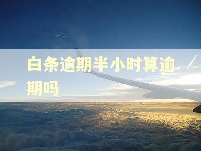 白条逾期半小时算逾期吗