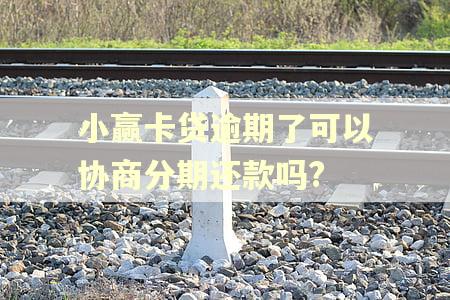 小赢卡贷逾期了可以协商分期还款吗?