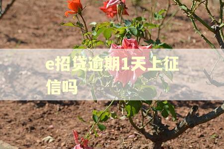 e招贷逾期1天上征信吗