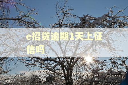 e招贷逾期1天上征信吗