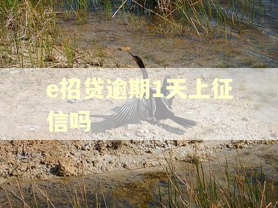 e招贷逾期1天上征信吗