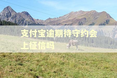 支付宝逾期待守约会上征信吗