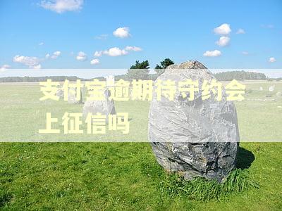 支付宝逾期待守约会上征信吗 支付宝逾期待守约会上征信吗