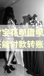 支付宝花呗借呗逾期了还能付款转账吗