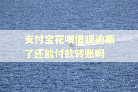 支付宝花呗借呗逾期了还能付款转账吗