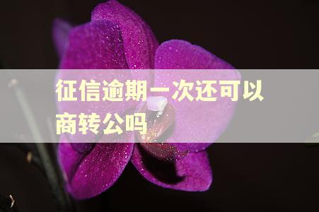 征信逾期一次还可以商转公吗