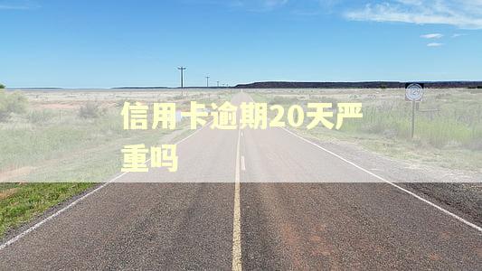 信用卡逾期20天严重吗 信用卡逾期20天严重吗