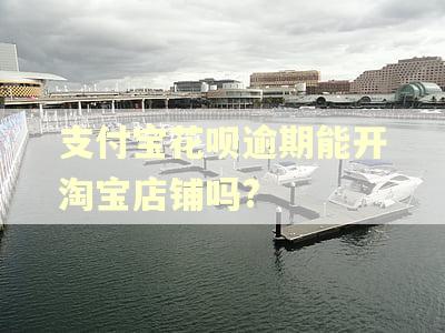 支付宝花呗逾期能开淘宝店铺吗?