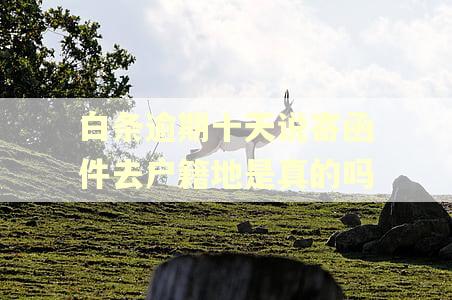 白条逾期十天说寄函件去户籍地是真的吗